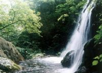 沟崖自然风景区