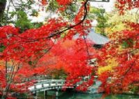 北京香山寺