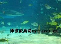 石家庄海洋水族馆