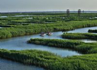 曹妃甸湿地迷宫