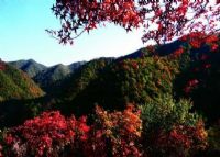 阳泉翠枫山景区