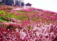 虎峰山生态旅游区