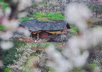 简阳樱桃沟旅游区