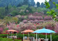 花舞人间景区