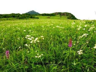 百花山自然保护区