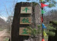 干饭盆景区