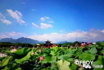 建宁修竹荷苑