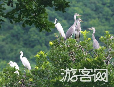 白鹭洲野生动物保护区